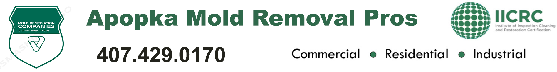 Apopka Mold Removal Pros