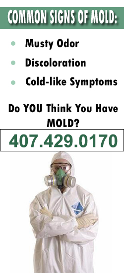Apopka Mold Remediation Contractor